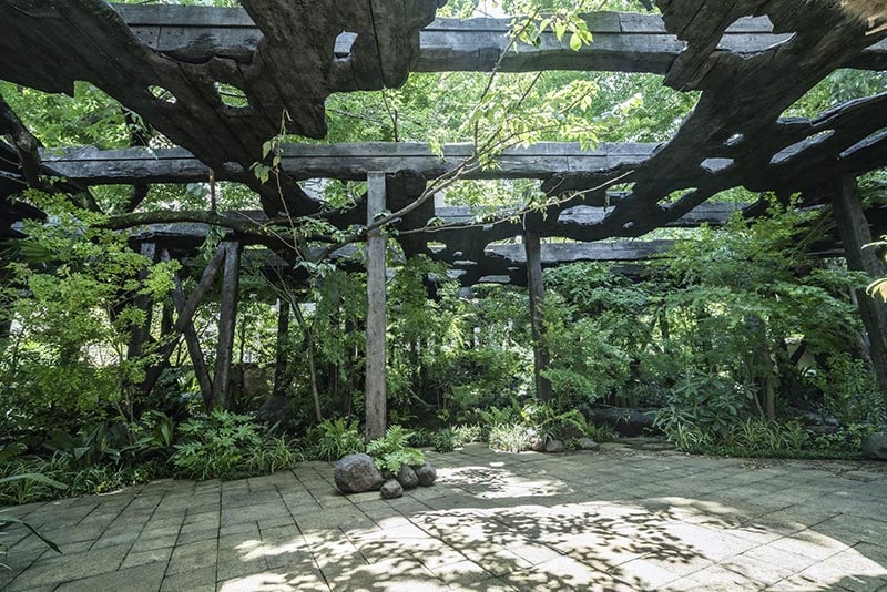 PLANTS ARCHITECTURE 石上純也 PLANTS+ARCHITECTURE / 石上純也 - メルカリ
