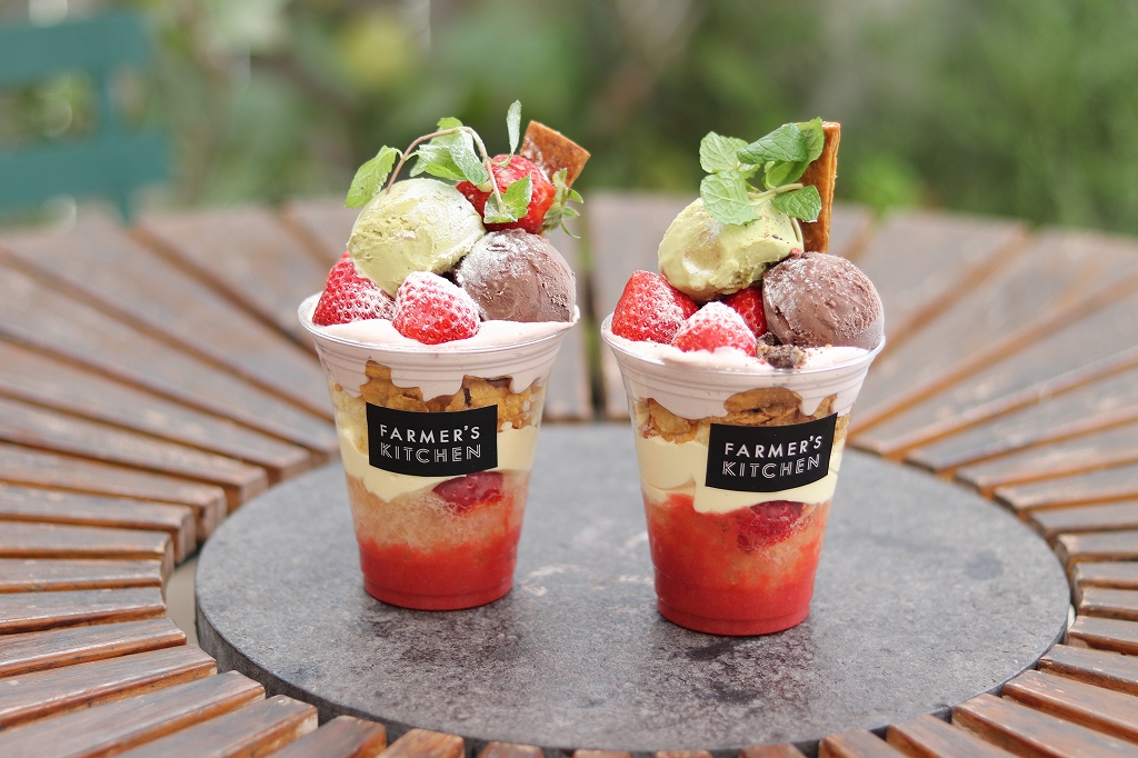 Strawberry Farm No 15 The Farm Universalいちご園