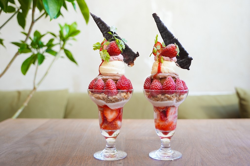 Strawberry Farm No.15🍓 the Farm UNIVERSALいちご園