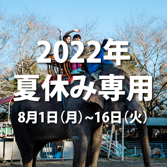 市原ぞうの国 サユリワールド サービス アトラクション事前予約サイト