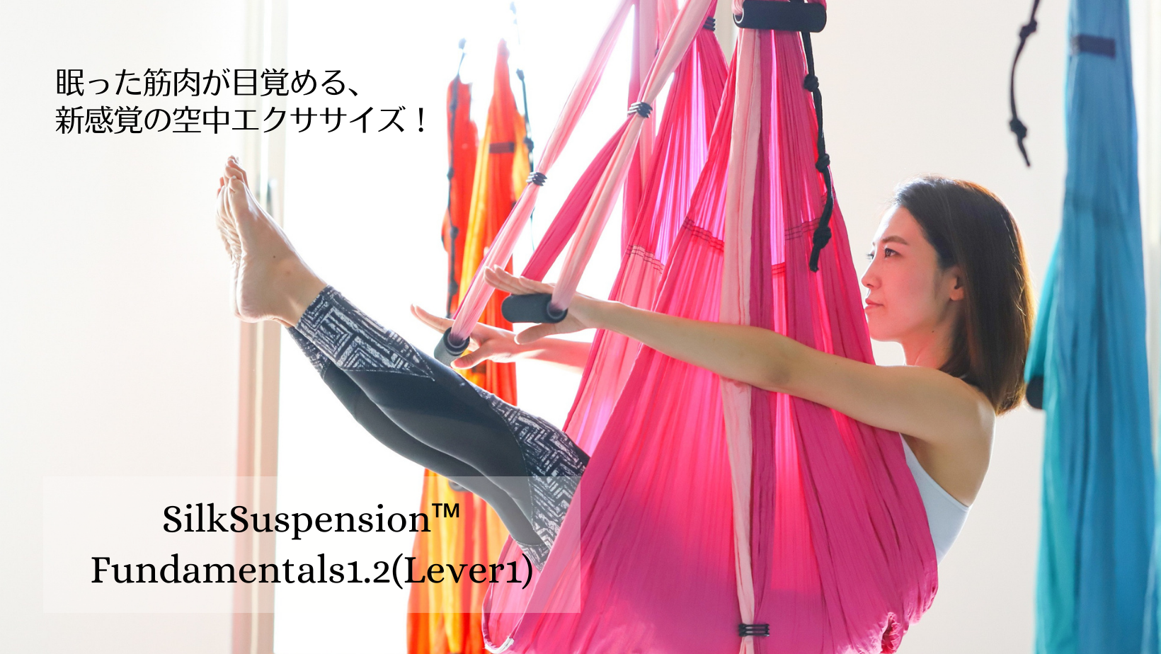 ☆スタッフ専用☆SilkSuspension™️ FundamentalsⅠ・Ⅱ(レベル1)