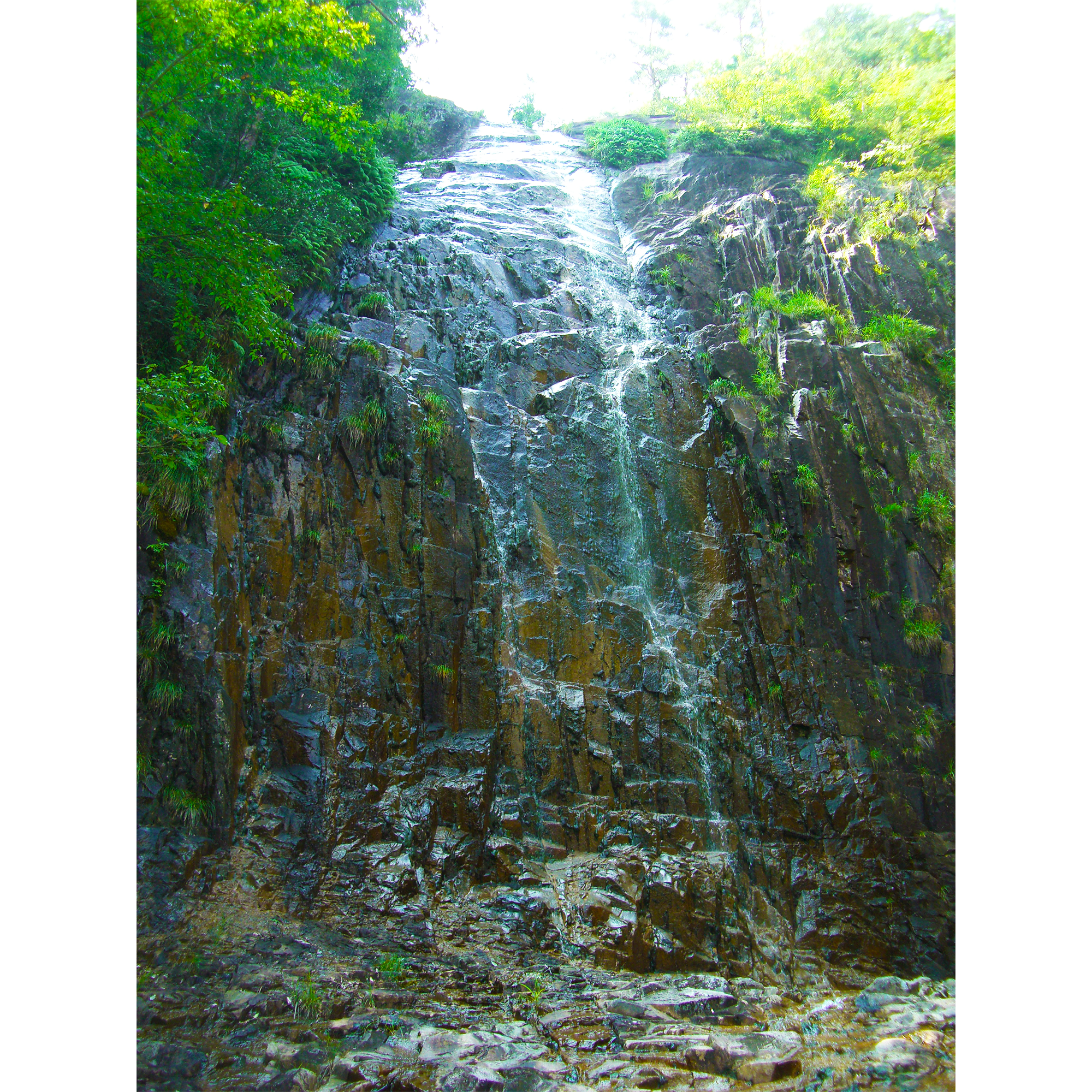 その他のイベント 湯来交流体験センター 水のまち 湯来に お帰りなさい