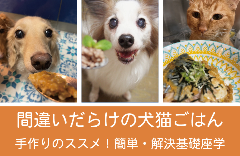 オンラインで学ぶ 間違いだらけの犬猫ごはん 手作りのススメ 簡単解決 基礎座学 3月