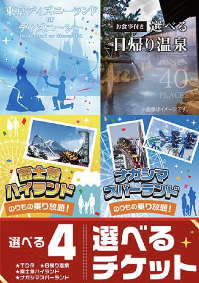 選べる4 TDR・ナガシマスパーランド・富士急ハイランド・日帰り温泉　チケット目録