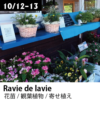 Ravie de lavie