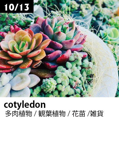 cotyledon