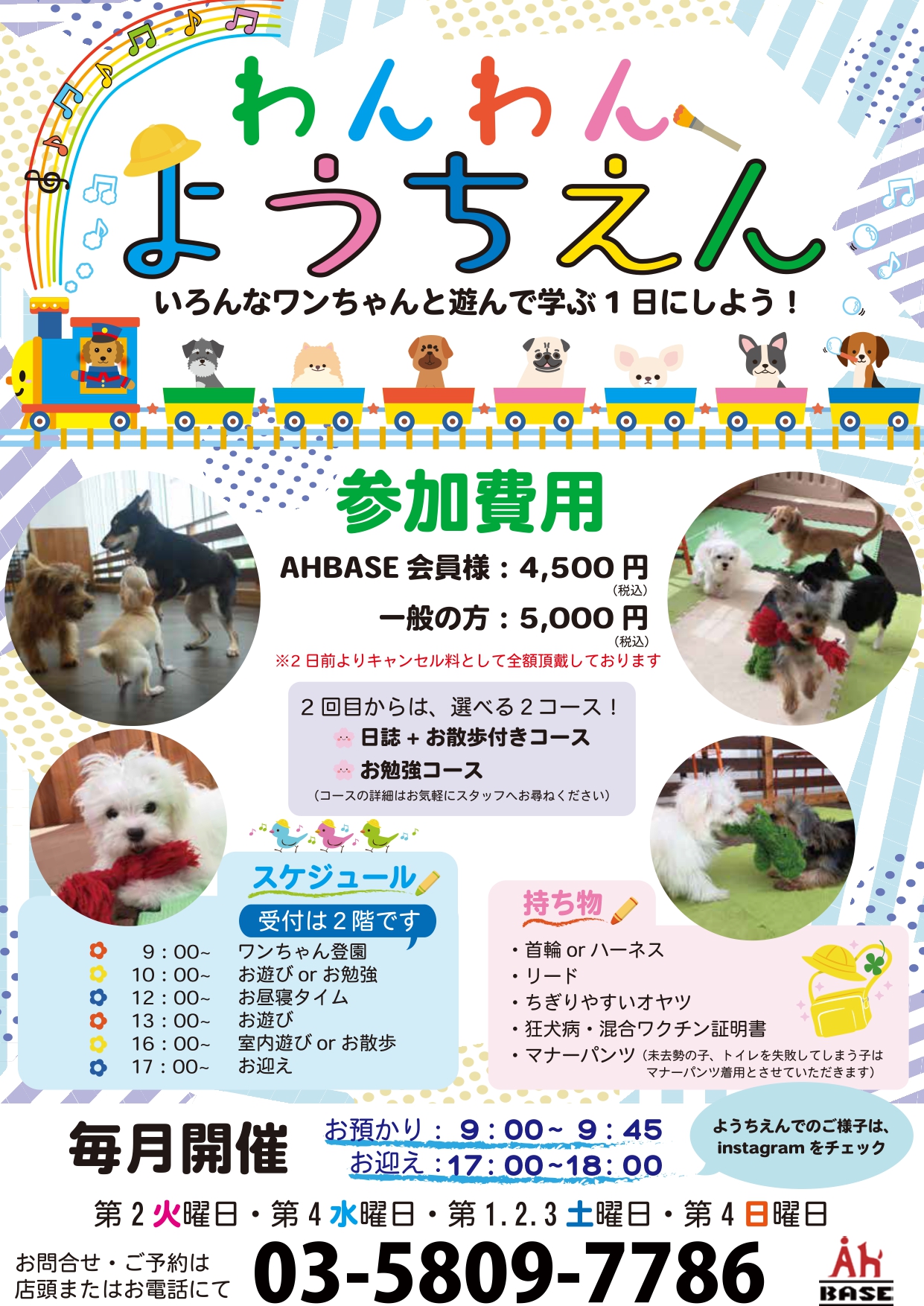 ちえちゃん 様 専用です。 せめんと様専用 千恵ちゃん様専用ページ